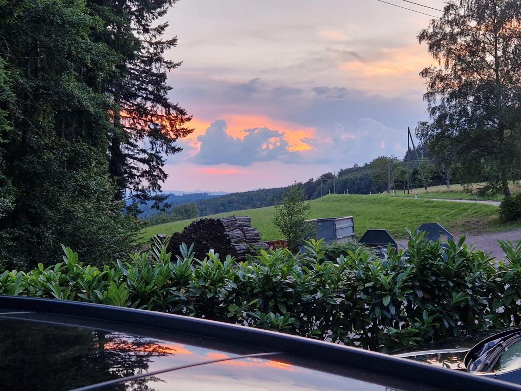 Ferien Im Schwarzwald Freiamt Hotel Buitenkant foto