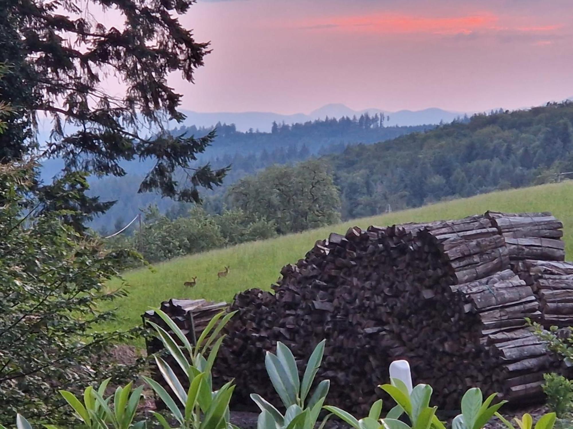Ferien Im Schwarzwald Freiamt Hotel Buitenkant foto