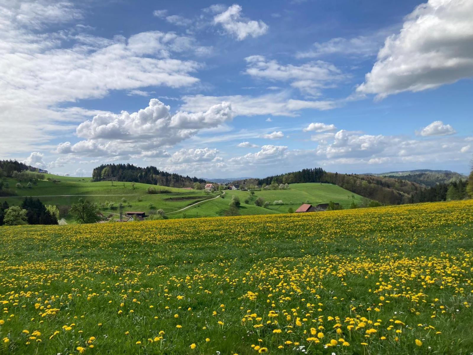 Ferien Im Schwarzwald Freiamt Hotel Buitenkant foto