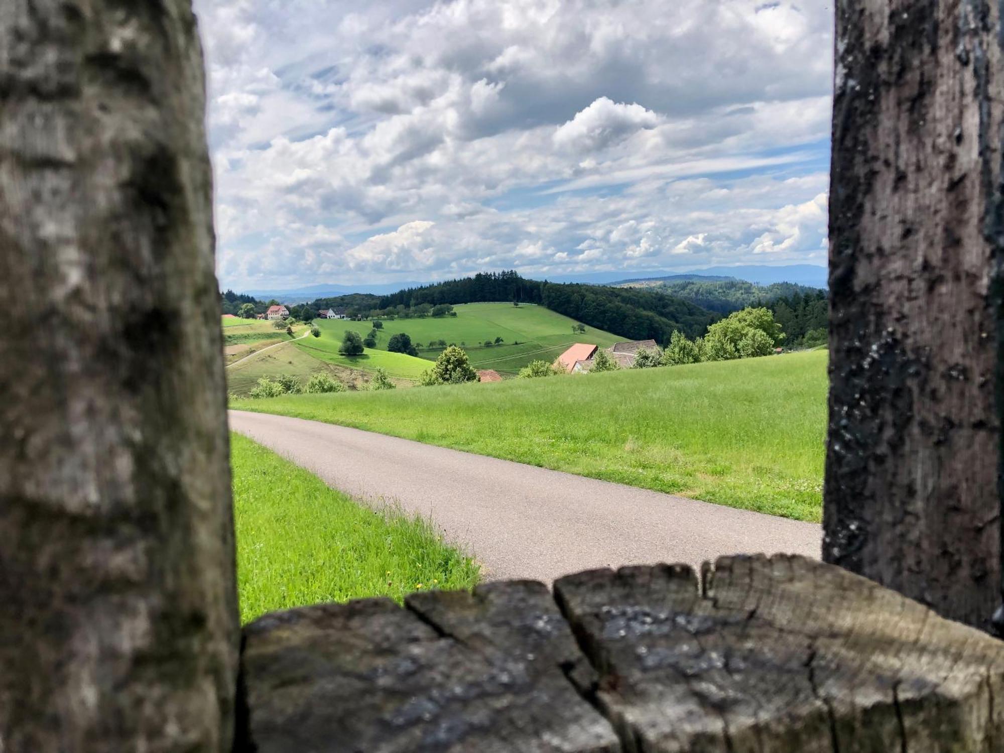 Ferien Im Schwarzwald Freiamt Hotel Buitenkant foto