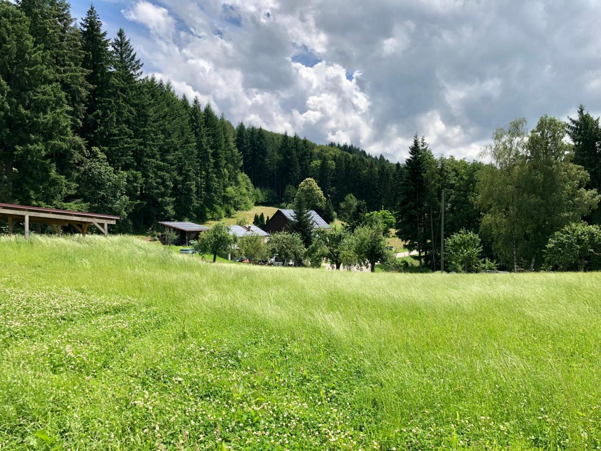 Ferien Im Schwarzwald Freiamt Hotel Buitenkant foto