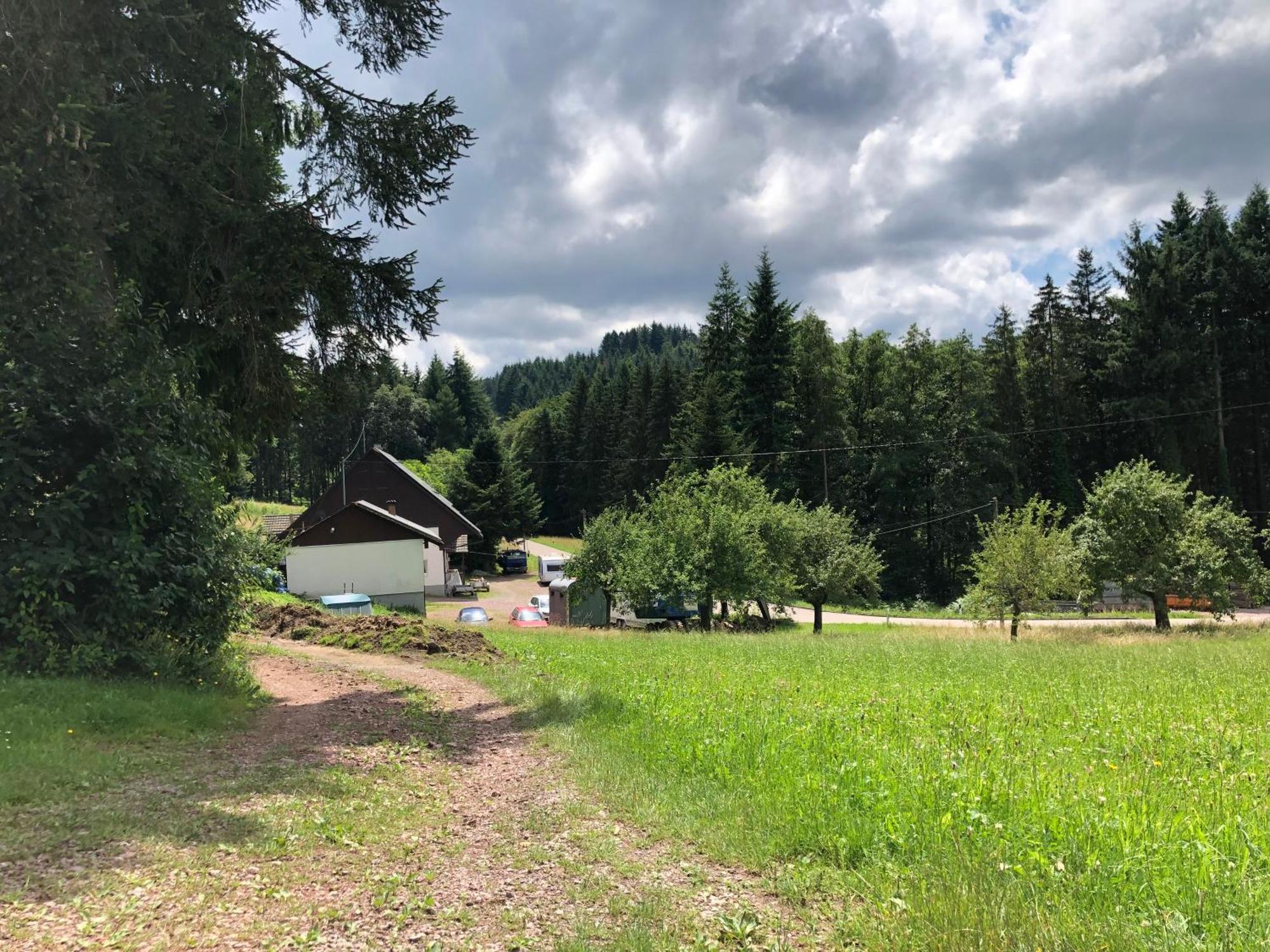 Ferien Im Schwarzwald Freiamt Hotel Buitenkant foto