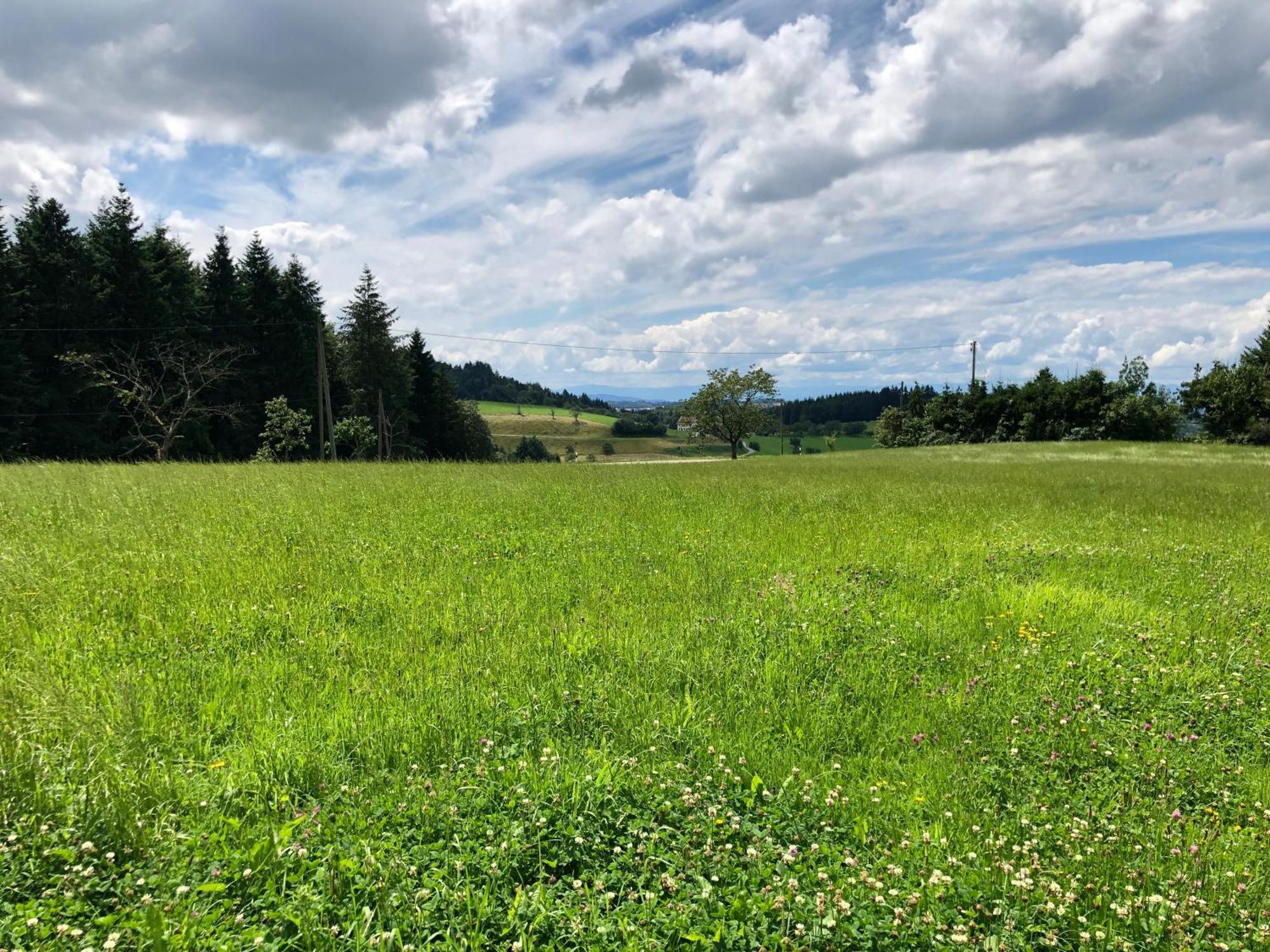 Ferien Im Schwarzwald Freiamt Hotel Buitenkant foto