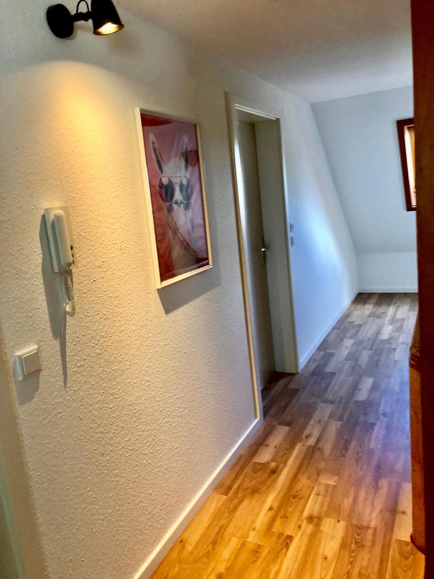 Ferien Im Schwarzwald Freiamt Hotel Buitenkant foto